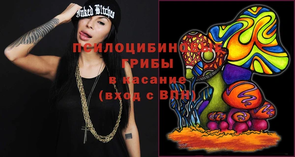 твердый Верея