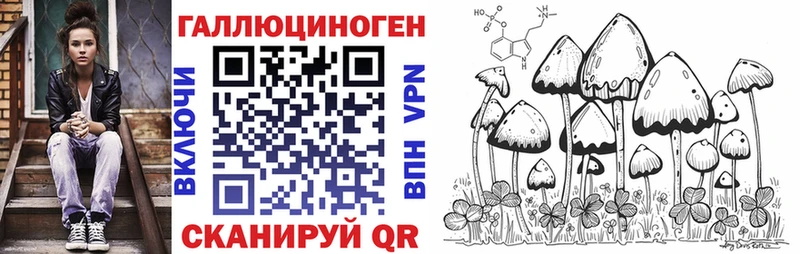 Псилоцибиновые грибы Psilocybe  Купить  Любим 