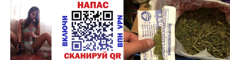Купить где  Любим  Марихуана сатива 